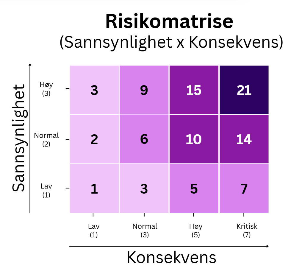 risikomatrise